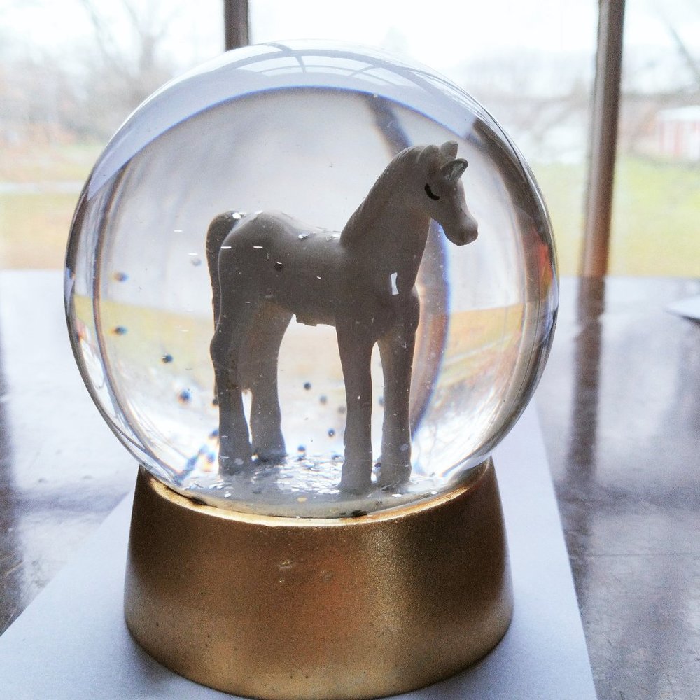❄️ 🦄 Unicorn Snow Globe ❄️